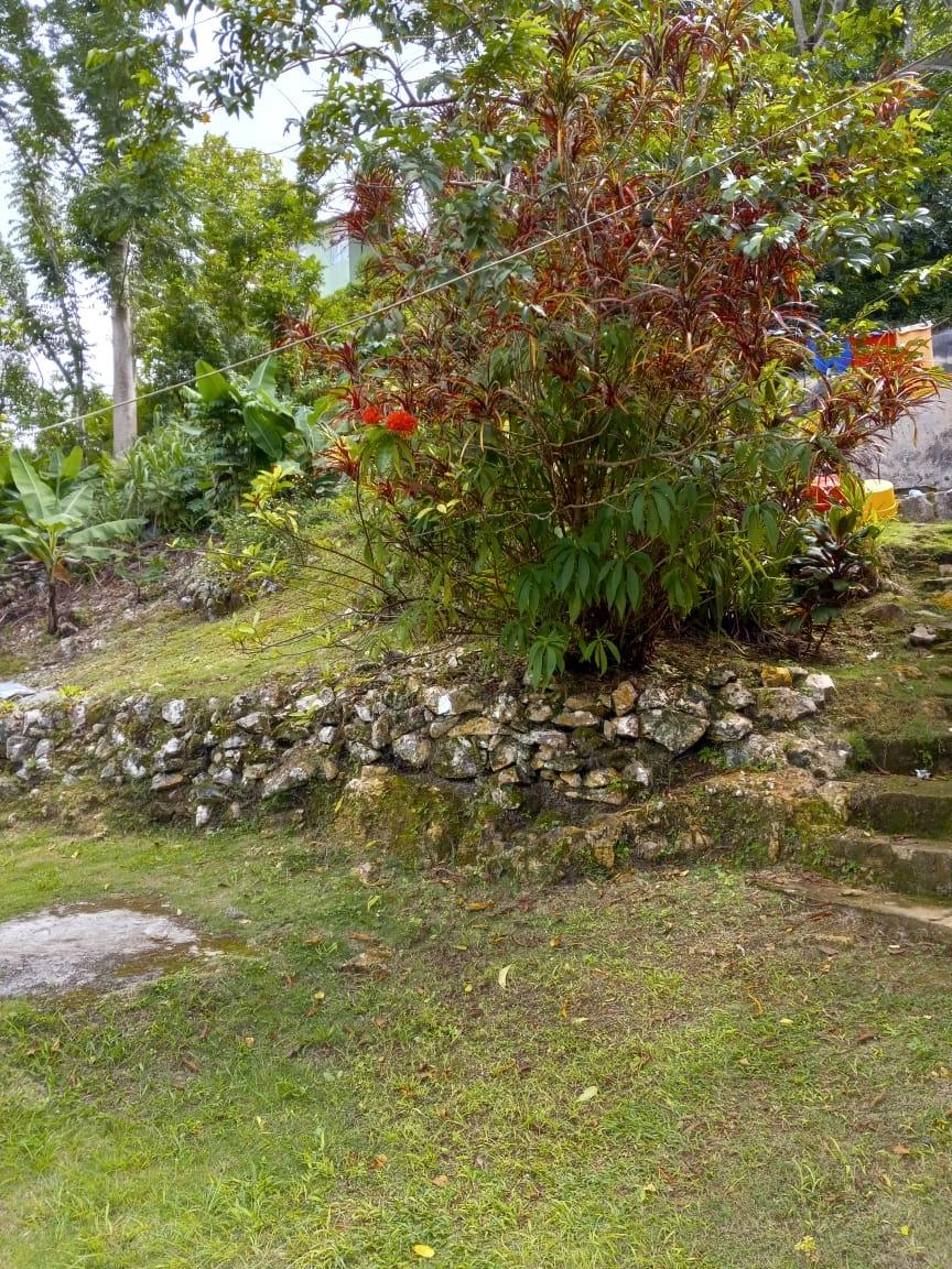 Ninth image of Prospect District, Giddy in Giddy Hall, St. Elizabeth, Jamaica - property is For Sale