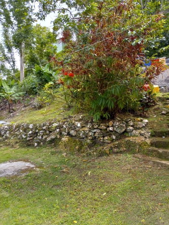 Ninth image of Prospect District, Giddy in Giddy Hall, St. Elizabeth, Jamaica - property is For Sale