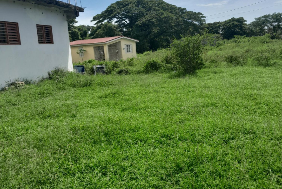 Fifth image of 12 Vineyard Crescent in Bushy Park, St. Catherine, Jamaica - property is For Sale