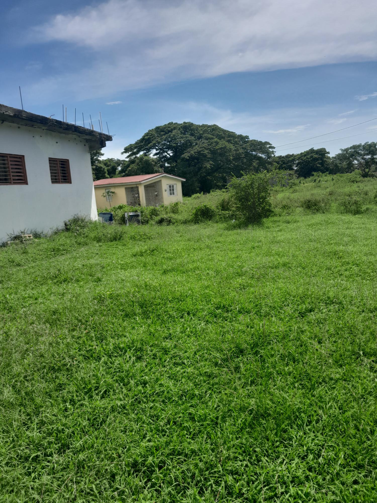 Fifth image of 12 Vineyard Crescent in Bushy Park, St. Catherine, Jamaica - property is For Sale