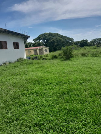 Fifth image of 12 Vineyard Crescent in Bushy Park, St. Catherine, Jamaica - property is For Sale