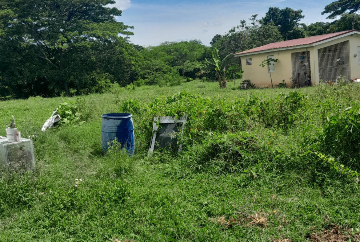 Sixth image of 12 Vineyard Crescent in Bushy Park, St. Catherine, Jamaica - property is For Sale