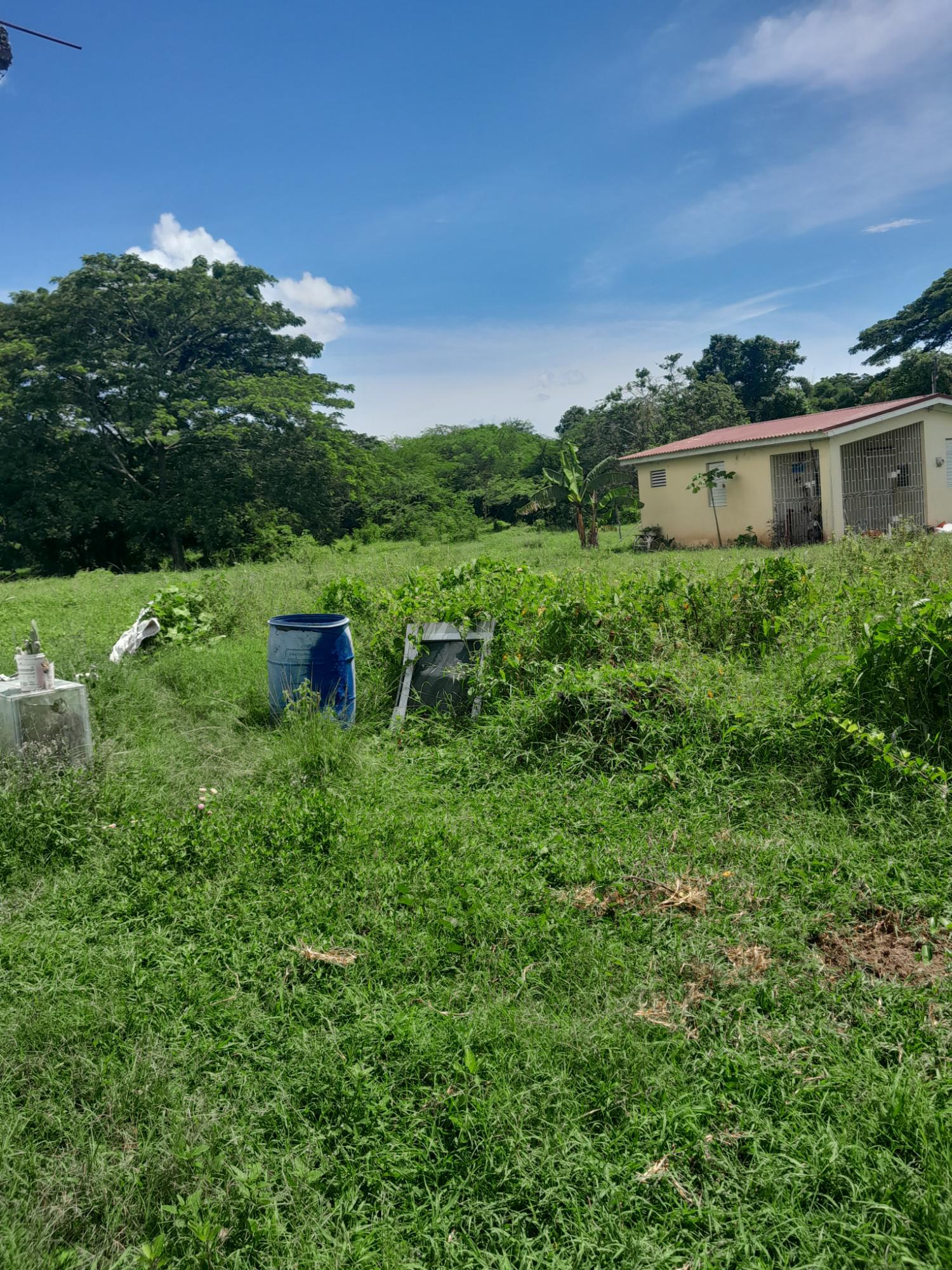 Sixth image of 12 Vineyard Crescent in Bushy Park, St. Catherine, Jamaica - property is For Sale