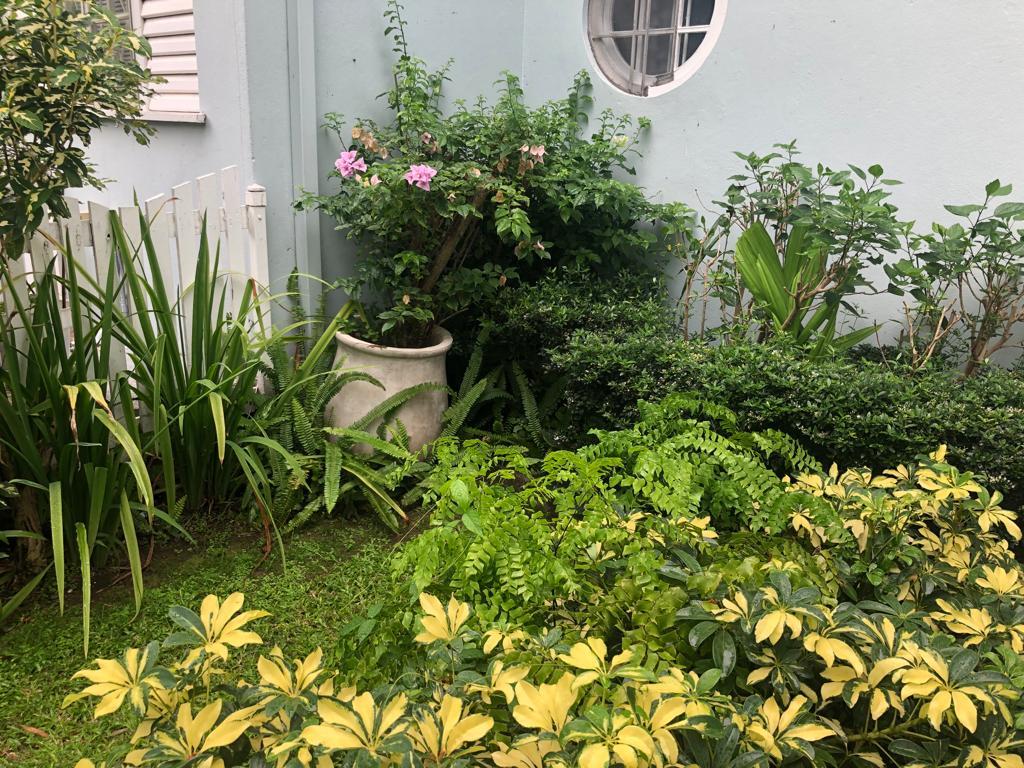 Fifth image of 11-1 Manor Park Drive in Kingston 8, St. Andrew, Jamaica - property is For Rent