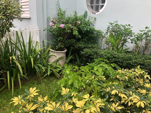 Fifth image of 11-1 Manor Park Drive in Kingston 8, St. Andrew, Jamaica - property is For Rent
