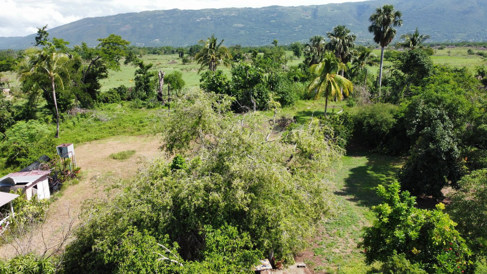 Twelfth image of Clark’s Villa st Elizabe in Barbary Hall, St. Elizabeth, Jamaica - property is For Sale