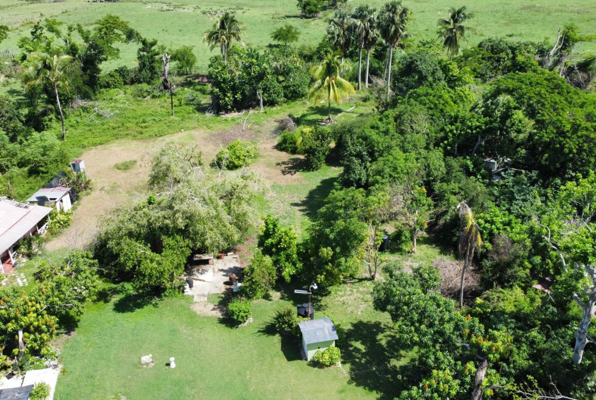 Fifteenth image of Clark’s Villa st Elizabe in Barbary Hall, St. Elizabeth, Jamaica - property is For Sale