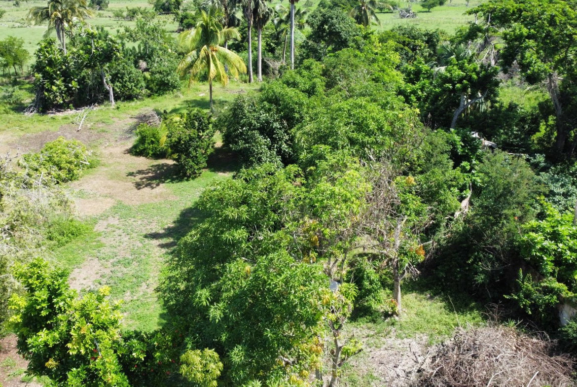 Seventeenth image of Clark’s Villa st Elizabe in Barbary Hall, St. Elizabeth, Jamaica - property is For Sale