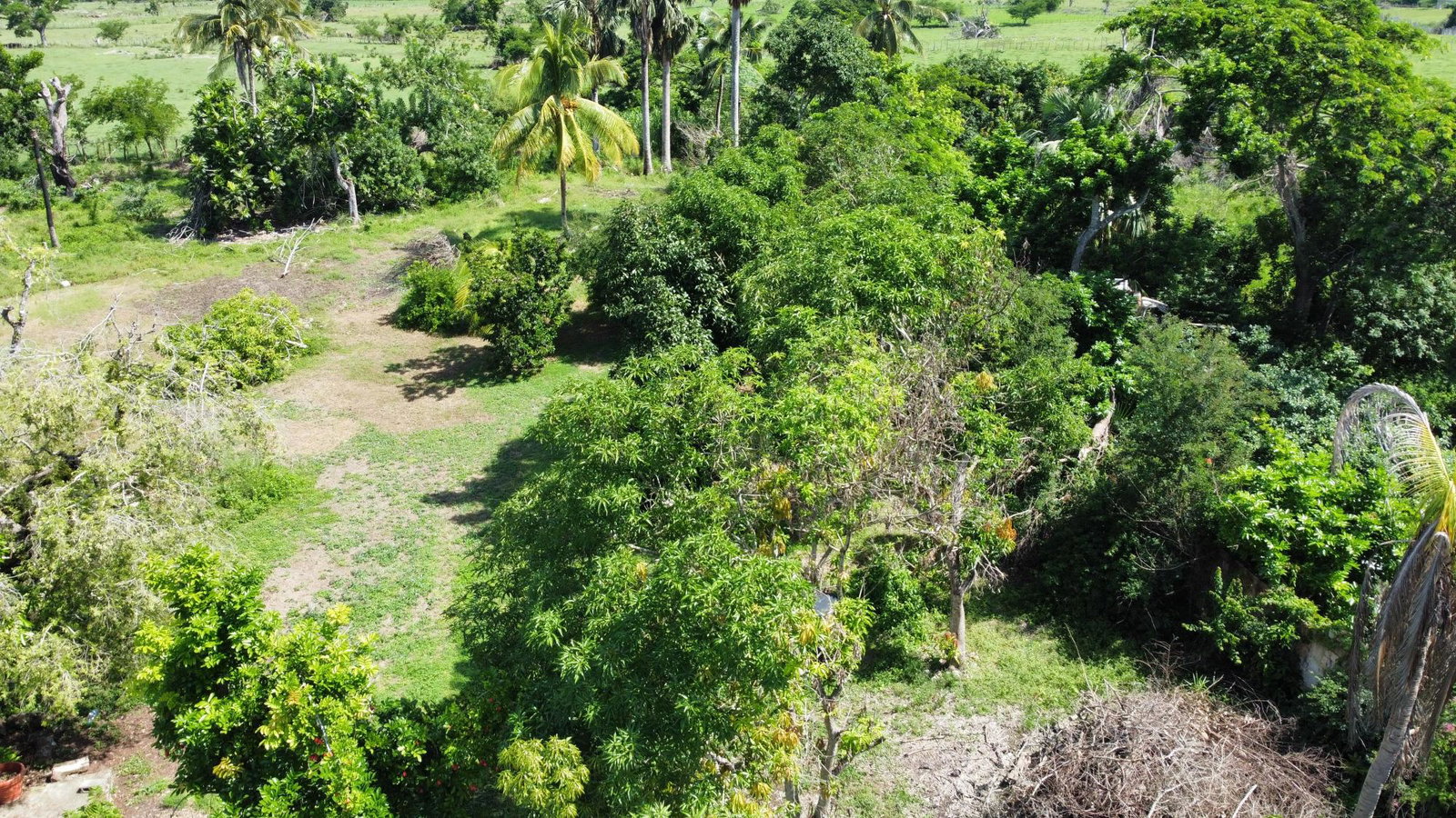 Seventeenth image of Clark’s Villa st Elizabe in Barbary Hall, St. Elizabeth, Jamaica - property is For Sale