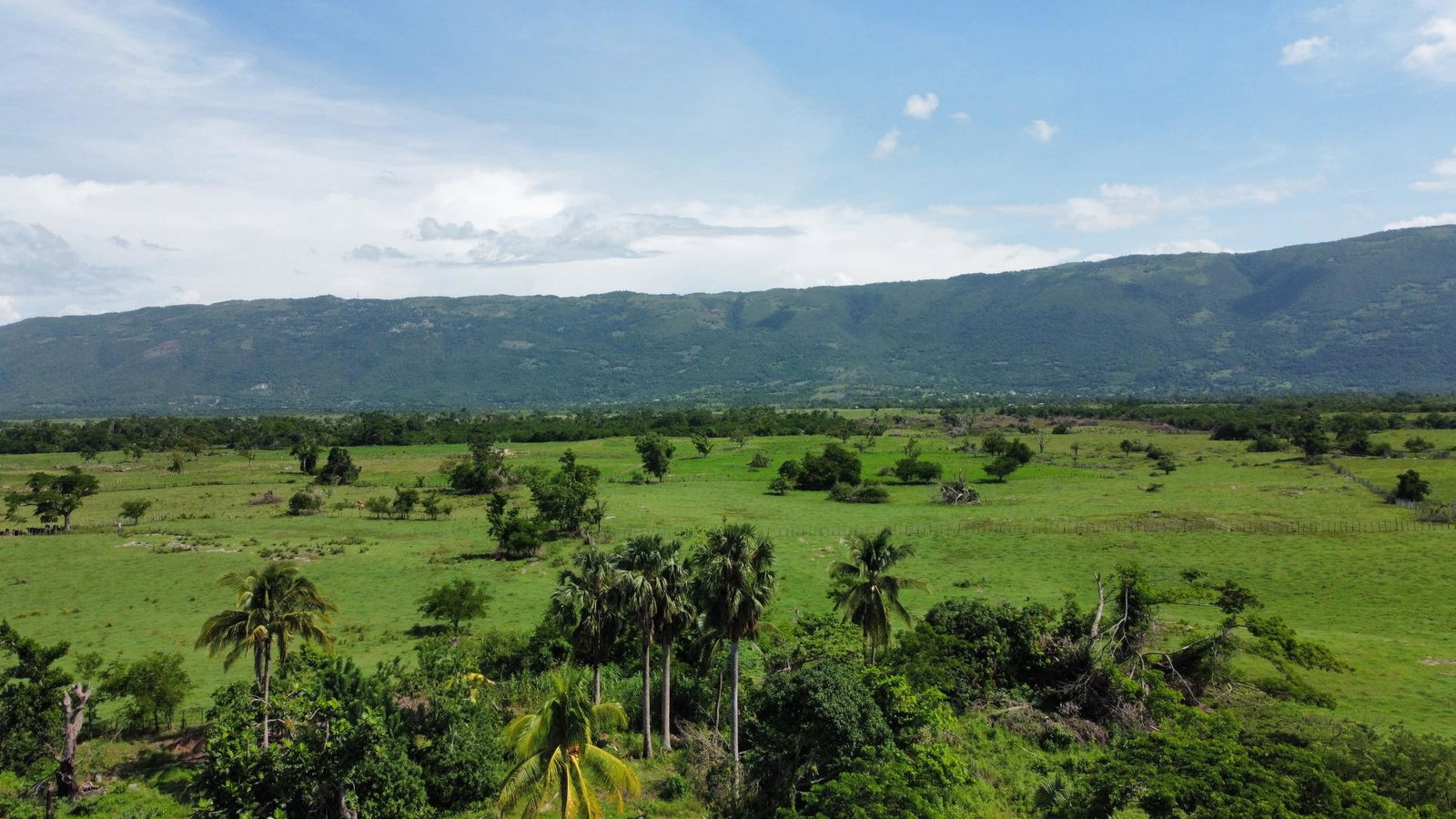 Eighteenth image of Clark’s Villa st Elizabe in Barbary Hall, St. Elizabeth, Jamaica - property is For Sale