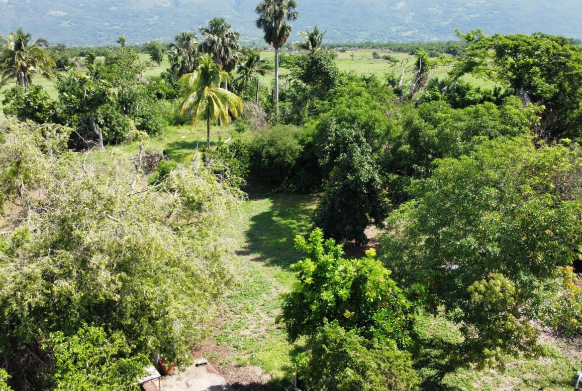 Sixth image of Clark’s Villa st Elizabe in Barbary Hall, St. Elizabeth, Jamaica - property is For Sale