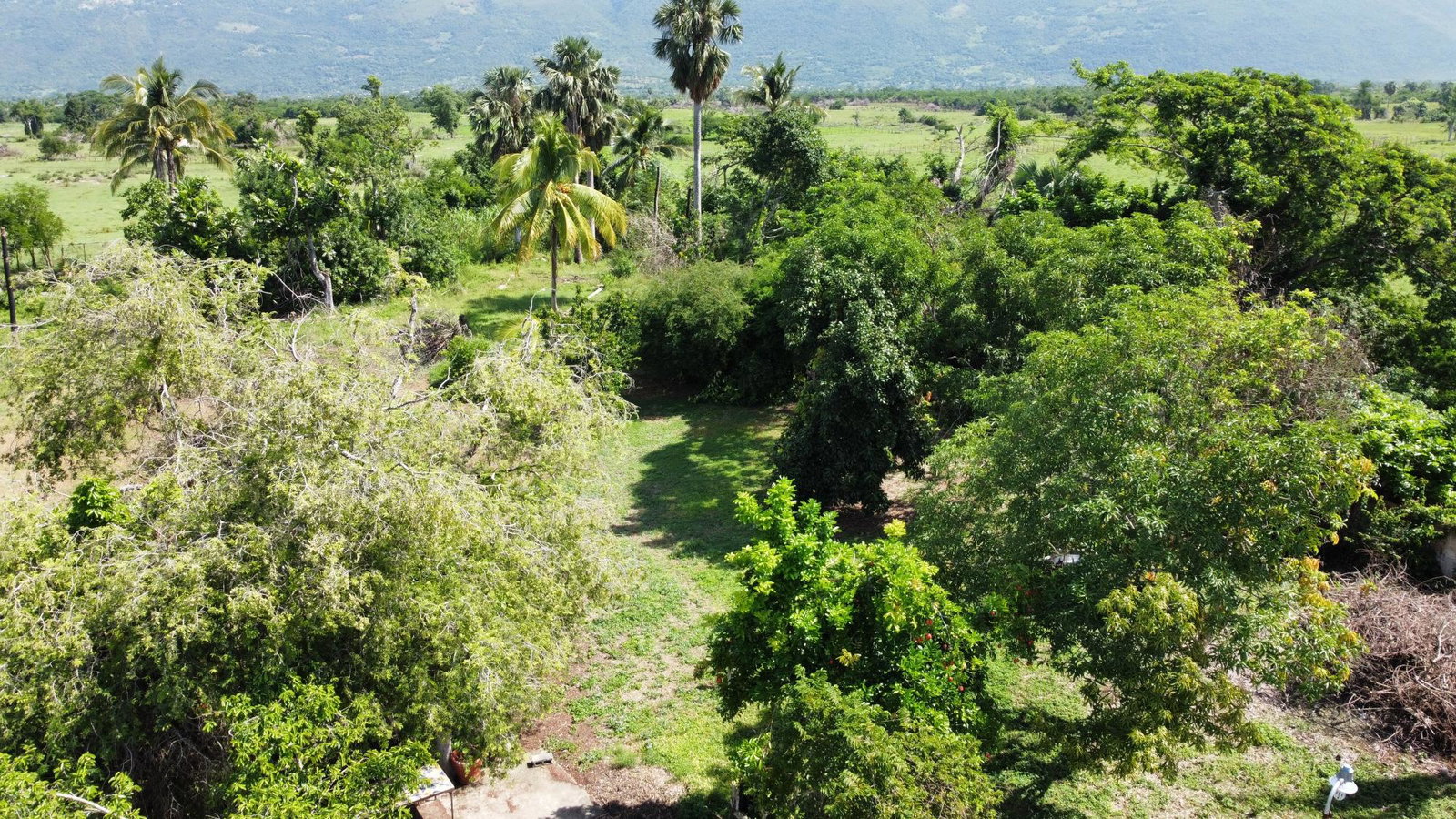 Sixth image of Clark’s Villa st Elizabe in Barbary Hall, St. Elizabeth, Jamaica - property is For Sale