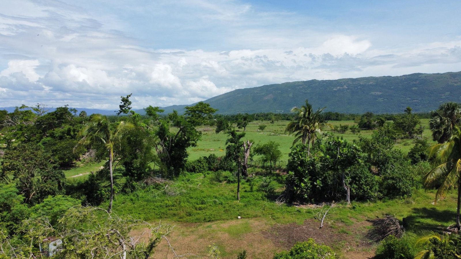Seventh image of Clark’s Villa st Elizabe in Barbary Hall, St. Elizabeth, Jamaica - property is For Sale