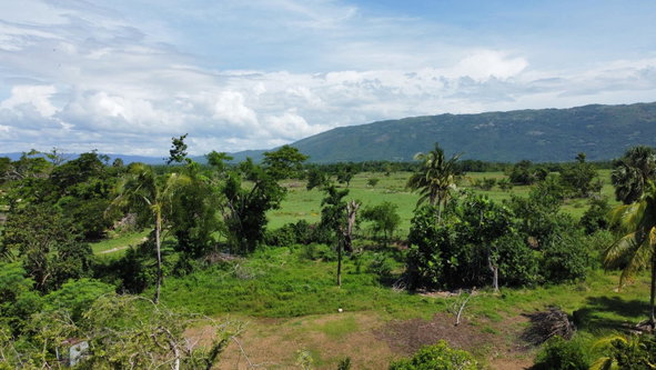 Seventh image of Clark’s Villa st Elizabe in Barbary Hall, St. Elizabeth, Jamaica - property is For Sale