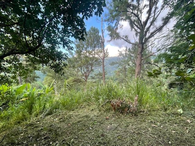 Twelfth image of The Cottage in Irish Town P.A., St. Andrew, Jamaica - property is For Sale