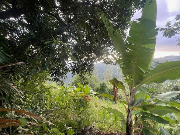Fourteenth image of The Cottage in Irish Town P.A., St. Andrew, Jamaica - property is For Sale