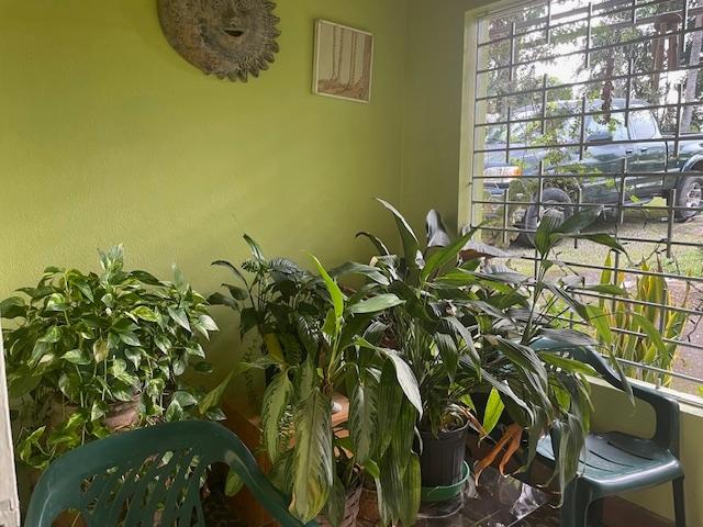 Fifteenth image of The Cottage in Irish Town P.A., St. Andrew, Jamaica - property is For Sale