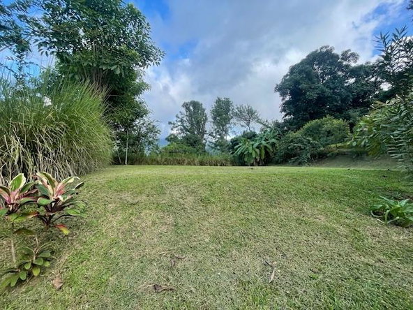 Fifth image of The Cottage in Irish Town P.A., St. Andrew, Jamaica - property is For Sale