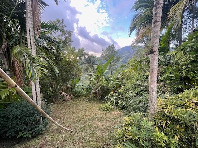 Sixth image of The Cottage in Irish Town P.A., St. Andrew, Jamaica - property is For Sale