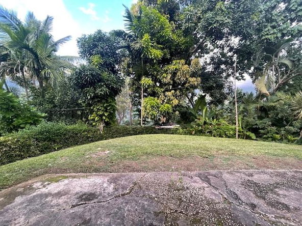 Seventh image of The Cottage in Irish Town P.A., St. Andrew, Jamaica - property is For Sale