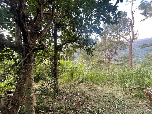 Eighth image of The Cottage in Irish Town P.A., St. Andrew, Jamaica - property is For Sale
