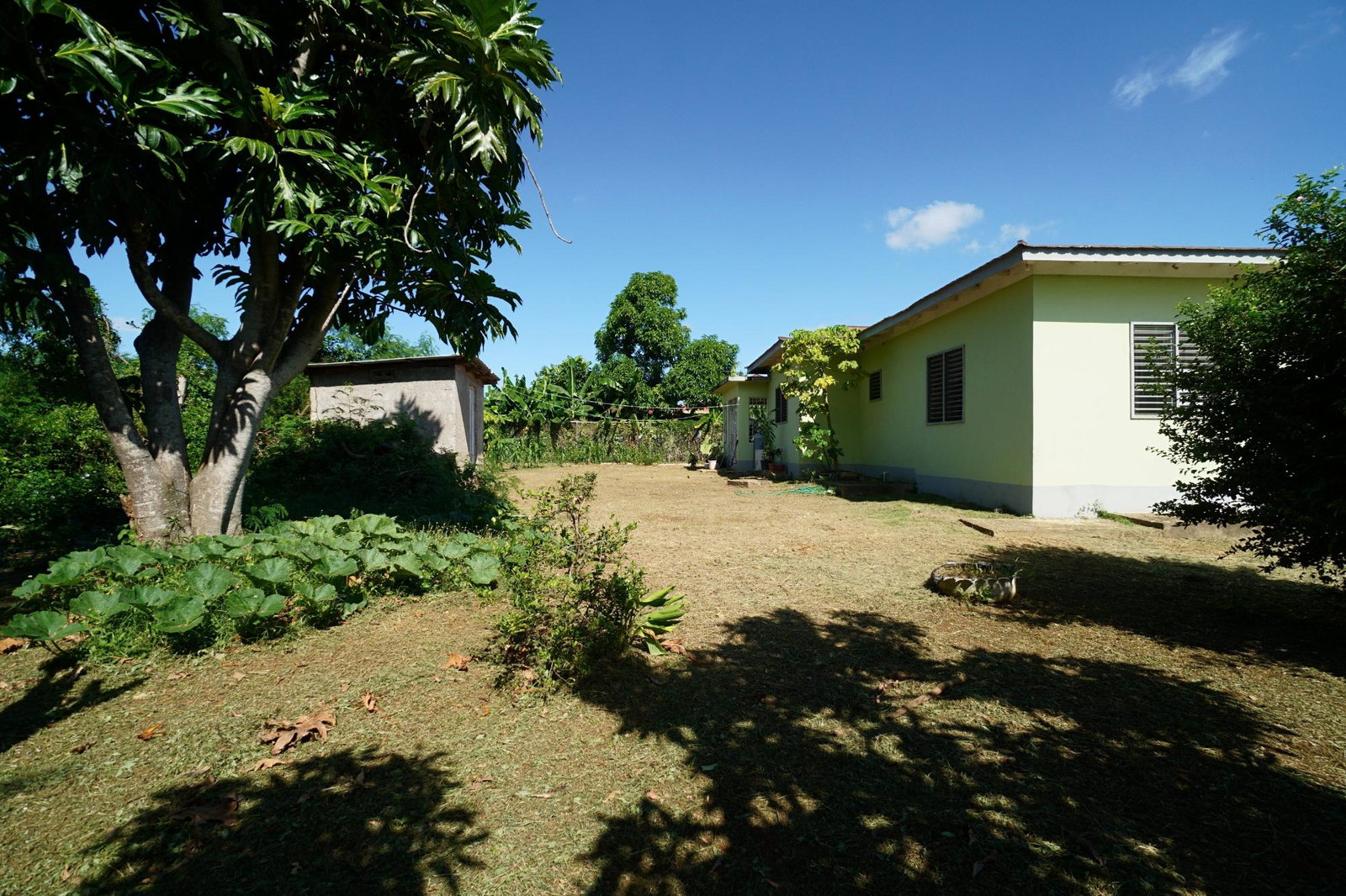 Eleventh image of 10 Lower Works Pen, in Black River, St. Elizabeth, Jamaica - property is For Sale