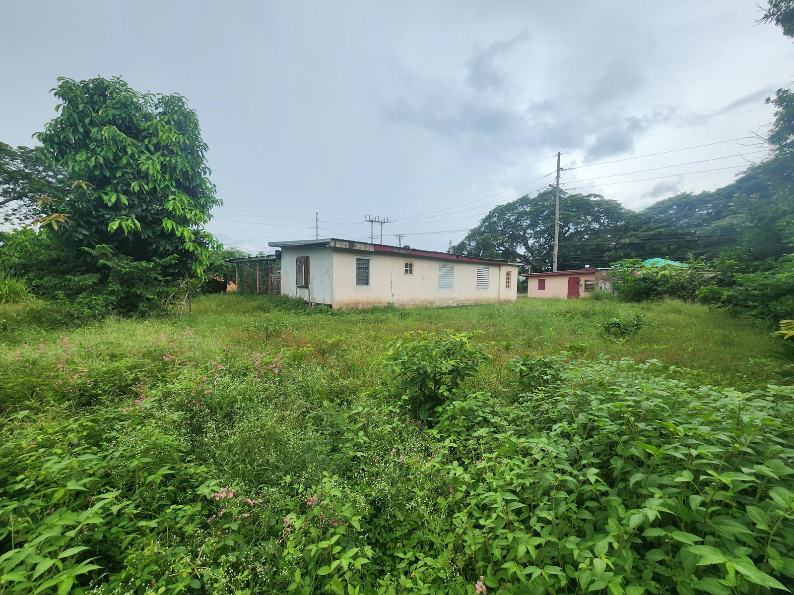 Third image of Gutters, Bushy Park in Bushy Park, St. Catherine, Jamaica - property is For Sale