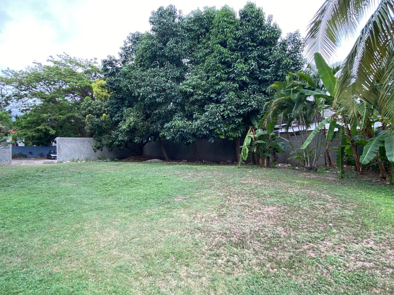 Charming-Ground-Floor-Apartment-for-Sale-in-St.-Andrew-Jamaica Thirteenth image of 4b-9a Central Avenue in Kingston 8, St. Andrew, Jamaica - property is For Sale