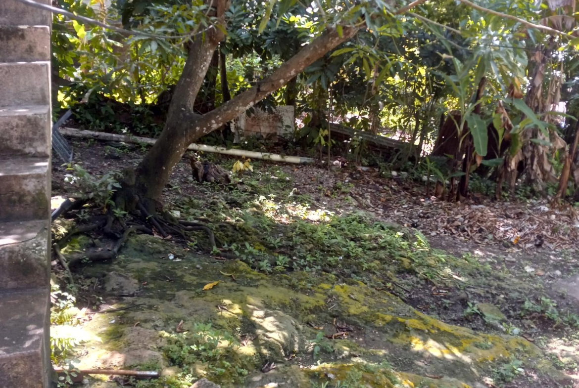 Tenth image of 27 Leonie Avenue in Montego Bay, St. James, Jamaica - property is For Sale