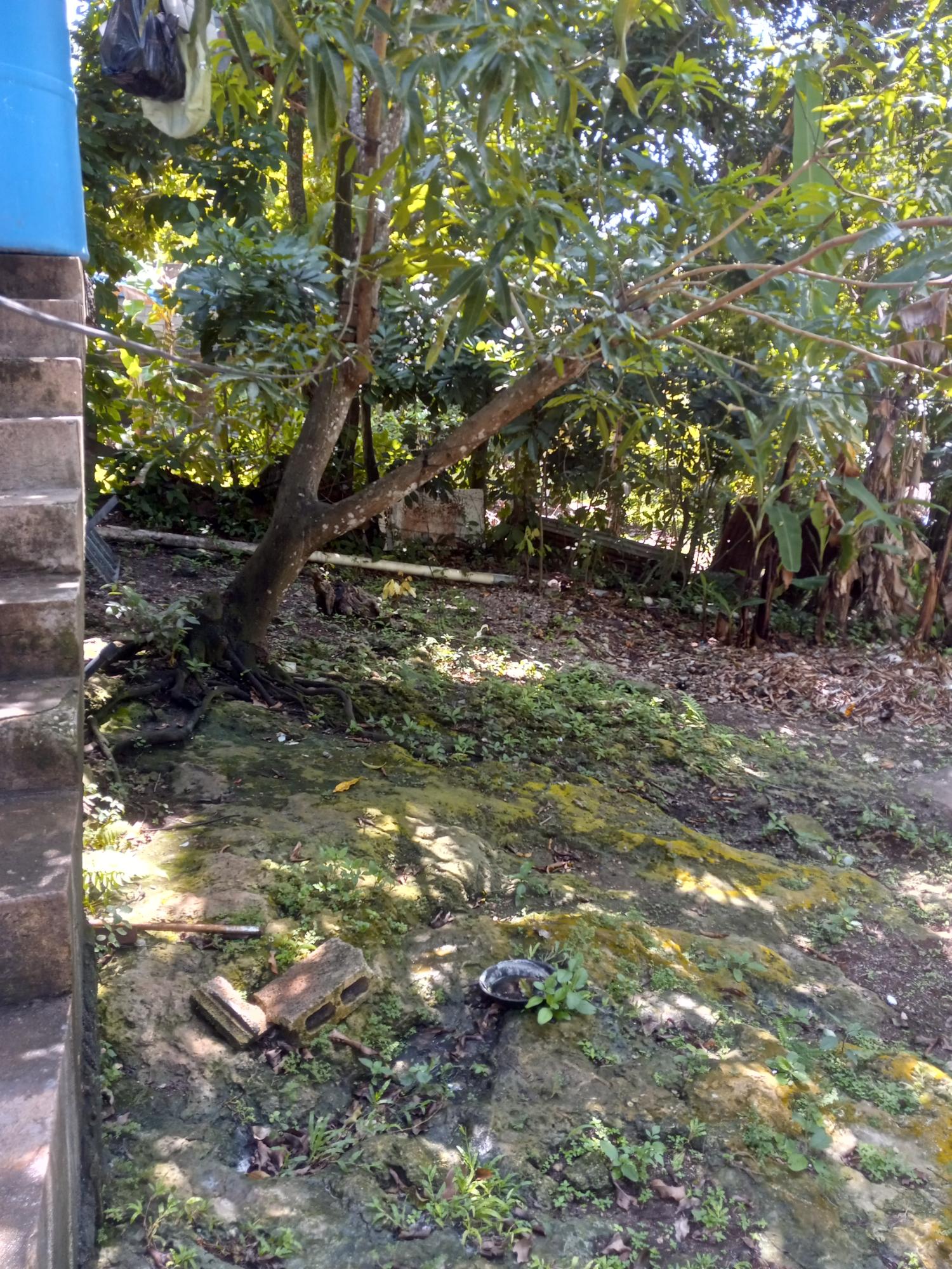 Charming-House-for-Sale-in-Montego-Bay-27-Leonie-Avenue Tenth image of 27 Leonie Avenue in Montego Bay, St. James, Jamaica - property is For Sale