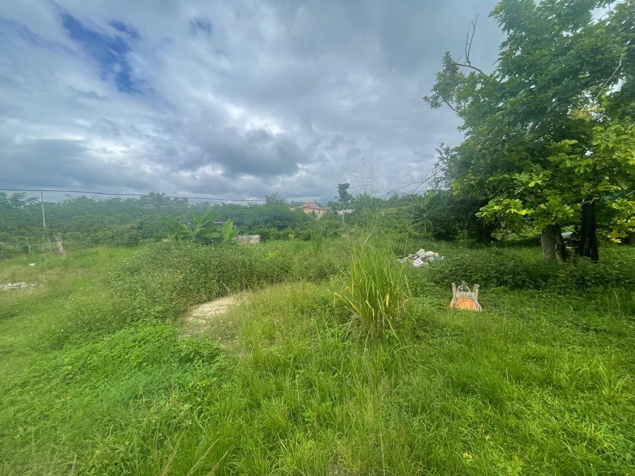 Eleventh image of Northhampton District in Northampton, St. Elizabeth, Jamaica - property is For Sale