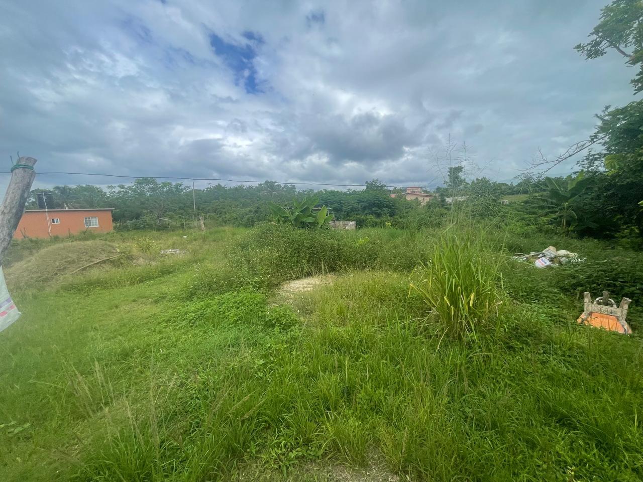 Tenth image of Northhampton District in Northampton, St. Elizabeth, Jamaica - property is For Sale