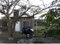 First image of 498 Pimento Drive in Bushy Park, Clarendon, Jamaica - property is For Sale