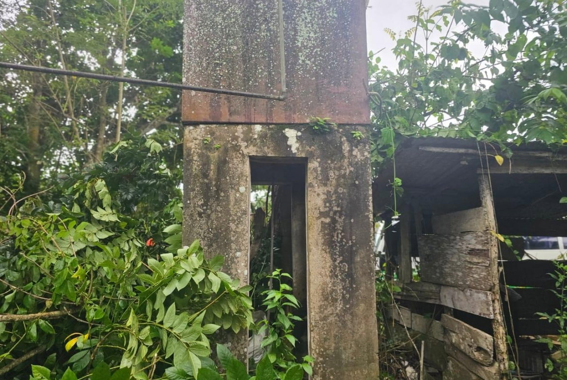 Eleventh image of Hermitage District, Steer in Steer Town, St. Ann, Jamaica - property is For Sale