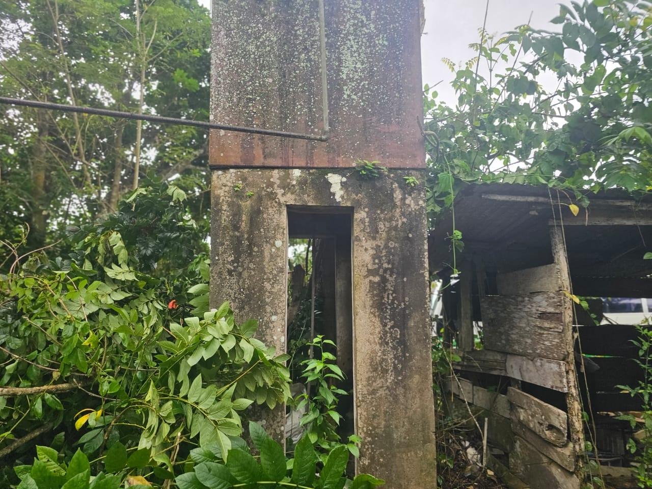 Eleventh image of Hermitage District, Steer in Steer Town, St. Ann, Jamaica - property is For Sale