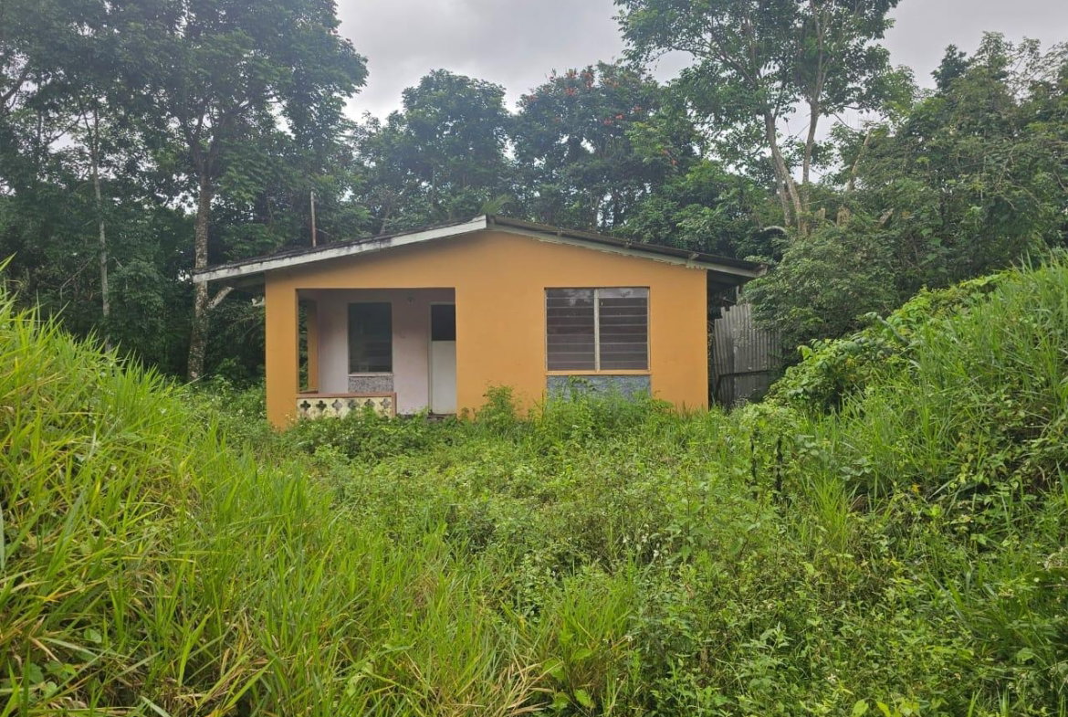 First image of Hermitage District, Steer in Steer Town, St. Ann, Jamaica - property is For Sale