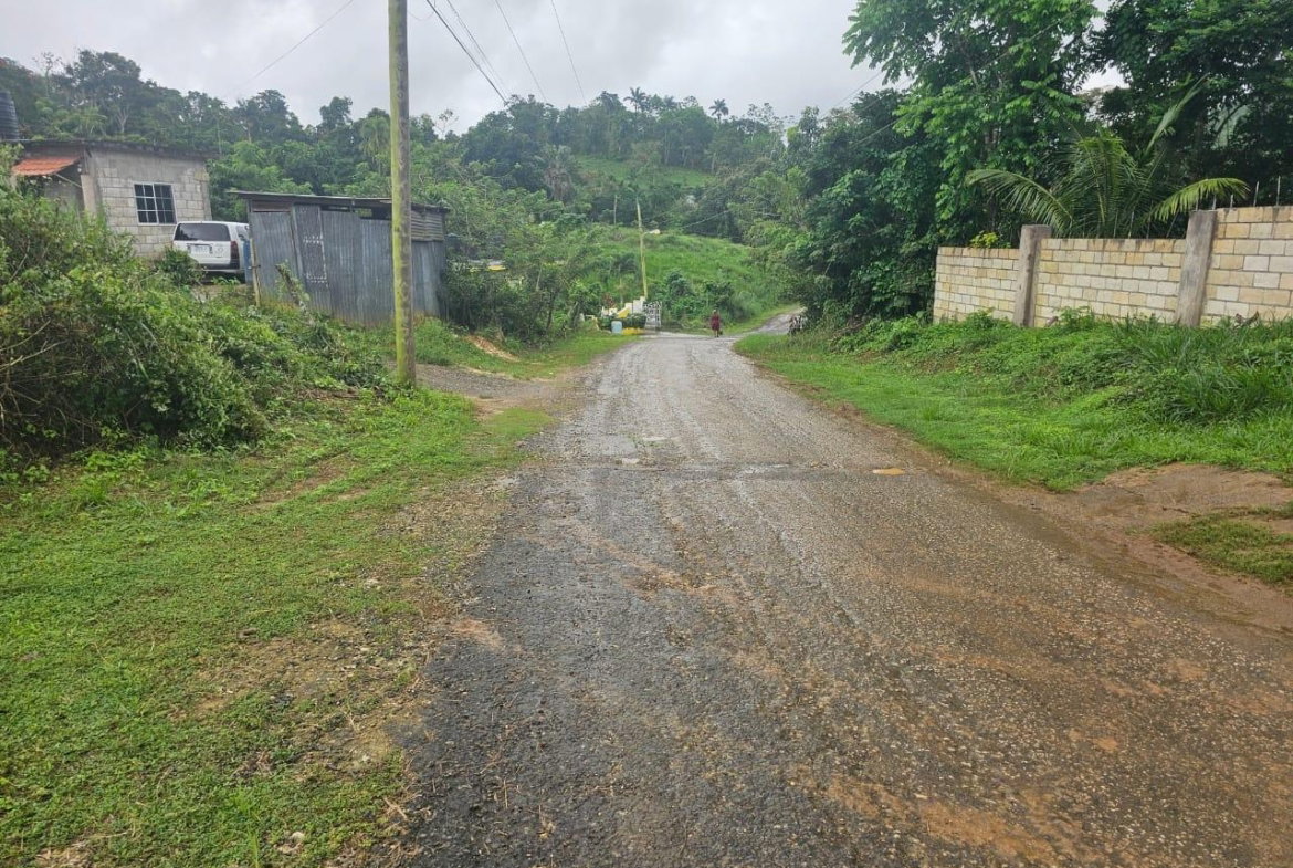 Sixth image of Hermitage District, Steer in Steer Town, St. Ann, Jamaica - property is For Sale