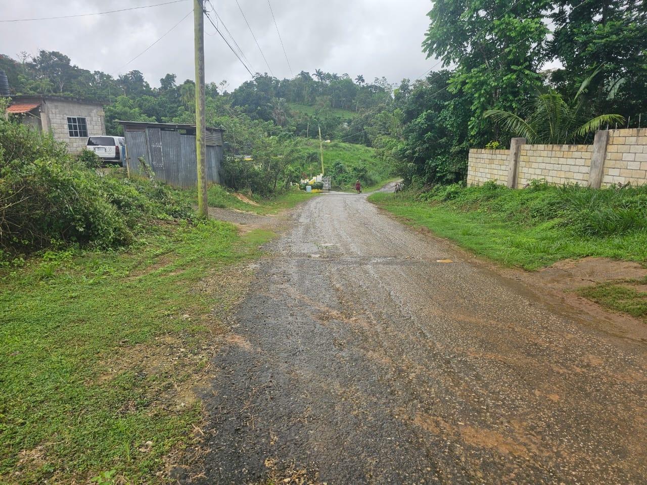 Sixth image of Hermitage District, Steer in Steer Town, St. Ann, Jamaica - property is For Sale
