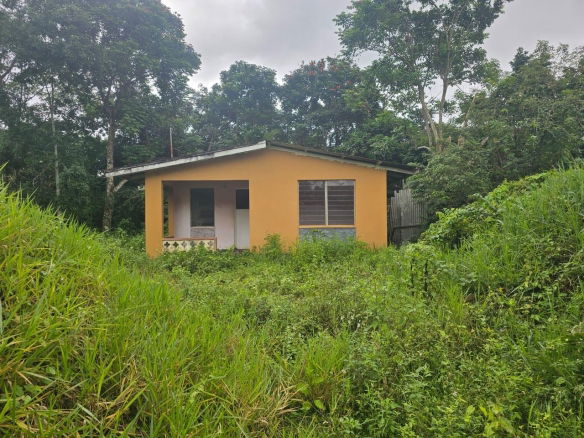 First image of Hermitage District, Steer in Steer Town, St. Ann, Jamaica - property is For Sale