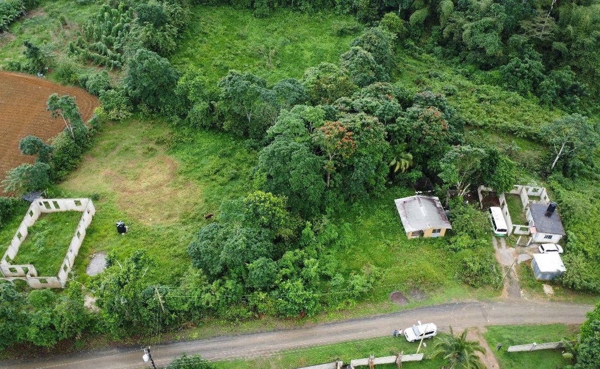 Seventh image of Hermitage District, Steer in Steer Town, St. Ann, Jamaica - property is For Sale