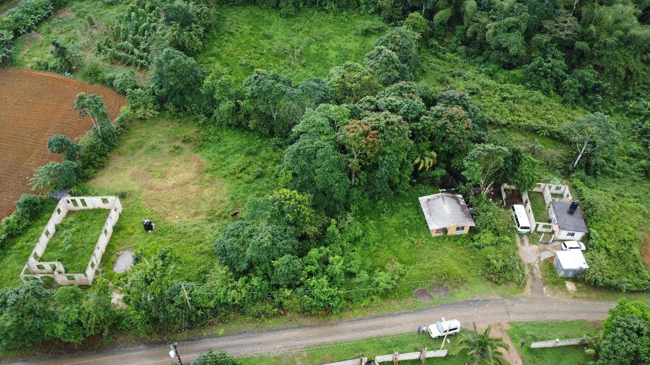 Seventh image of Hermitage District, Steer in Steer Town, St. Ann, Jamaica - property is For Sale