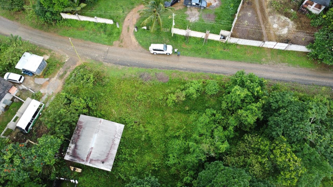 Eighth image of Hermitage District, Steer in Steer Town, St. Ann, Jamaica - property is For Sale