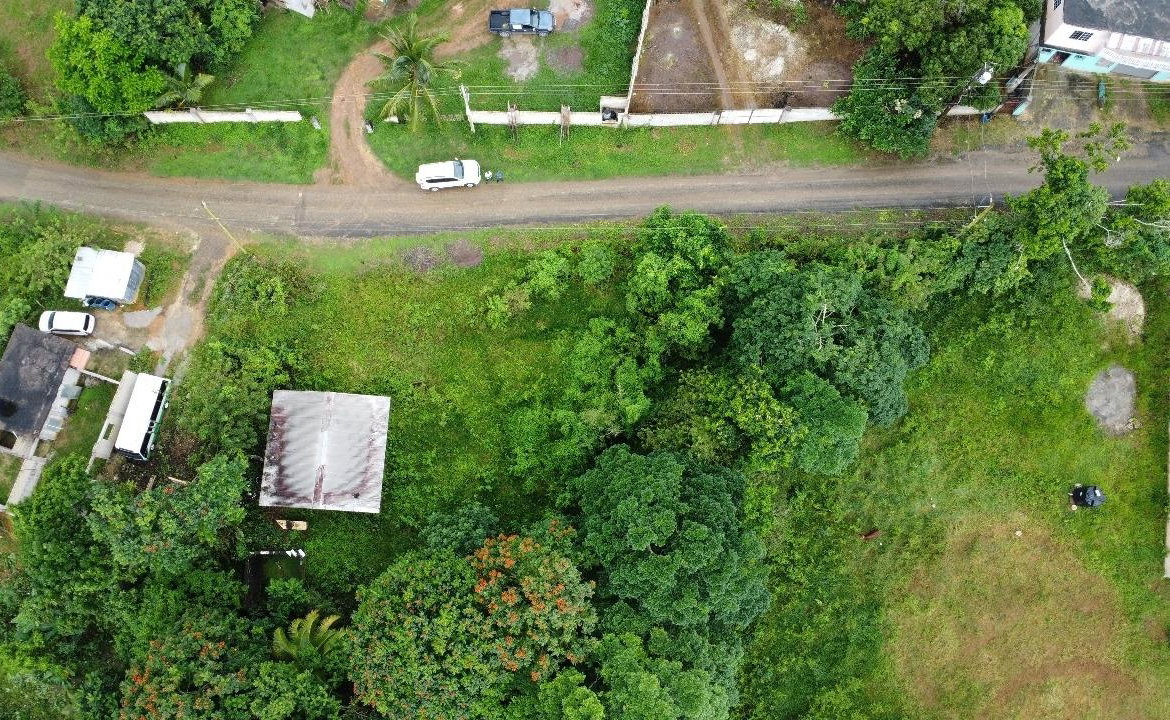 Ninth image of Hermitage District, Steer in Steer Town, St. Ann, Jamaica - property is For Sale