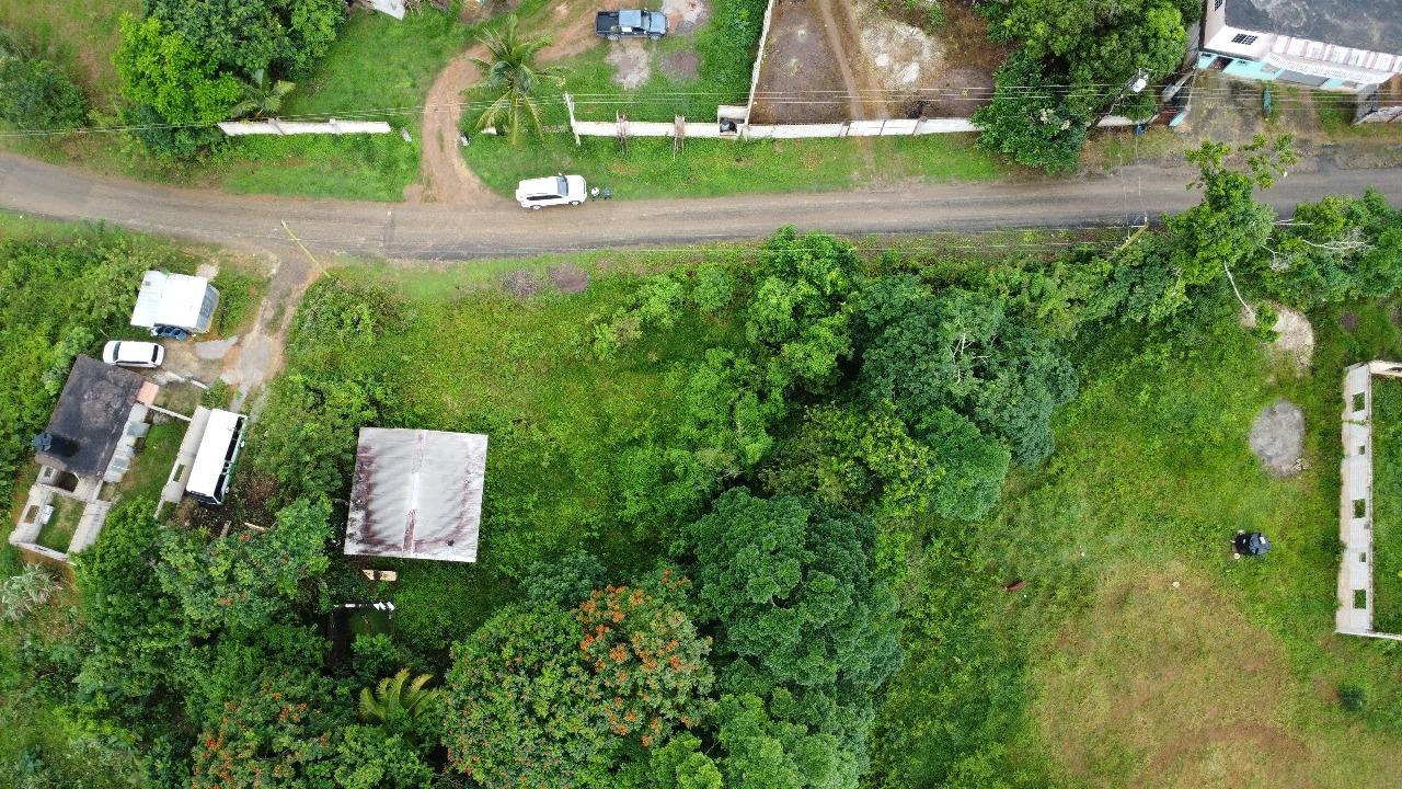 Ninth image of Hermitage District, Steer in Steer Town, St. Ann, Jamaica - property is For Sale