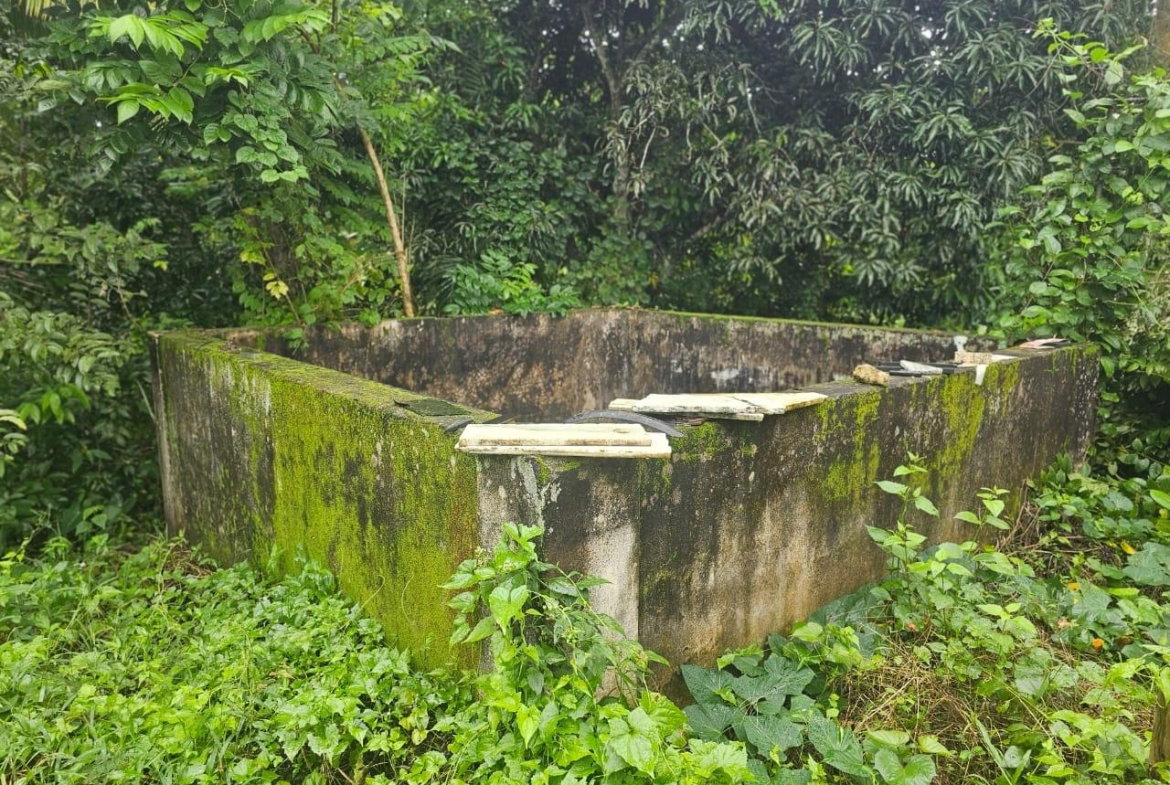 Tenth image of Hermitage District, Steer in Steer Town, St. Ann, Jamaica - property is For Sale