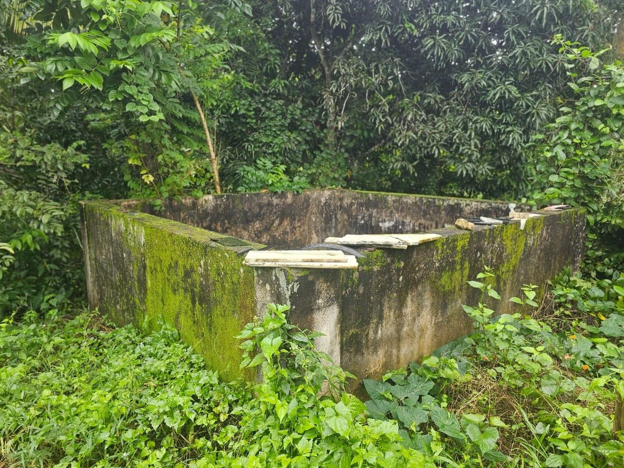 Tenth image of Hermitage District, Steer in Steer Town, St. Ann, Jamaica - property is For Sale