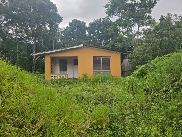First image of Hermitage District, Steer in Steer Town, St. Ann, Jamaica - property is For Sale