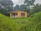 First image of Hermitage District, Steer in Steer Town, St. Ann, Jamaica - property is For Sale