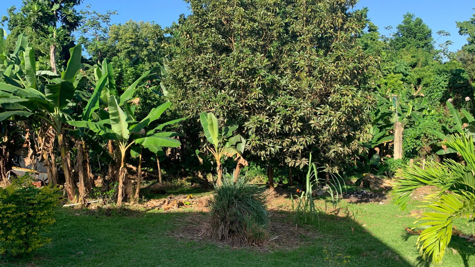 Fourth image of Part of Norwich in Port Antonio, Portland, Jamaica - property is For Sale