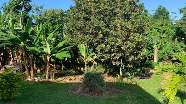 Fourth image of Part of Norwich in Port Antonio, Portland, Jamaica - property is For Sale